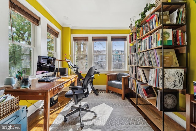 home office with hardwood / wood-style floors, a healthy amount of sunlight, and crown molding