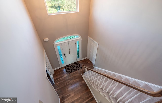 entryway featuring dark hardwood / wood-style flooring and a high ceiling