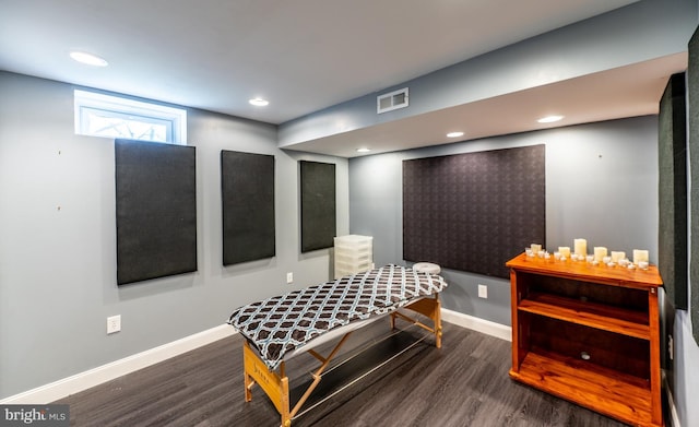 miscellaneous room featuring dark hardwood / wood-style flooring