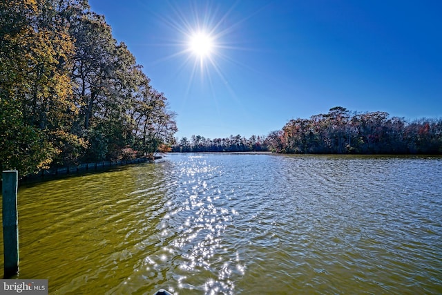 view of water feature