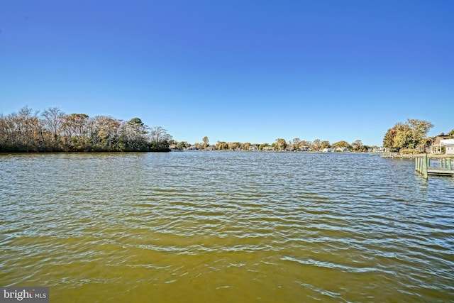 property view of water with a dock