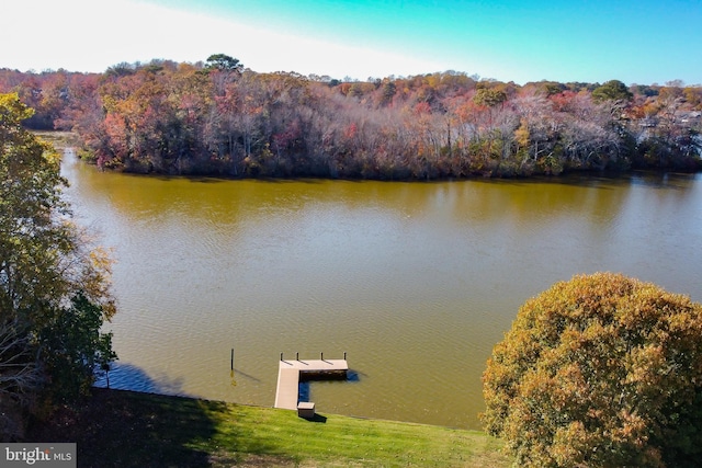 water view with a dock