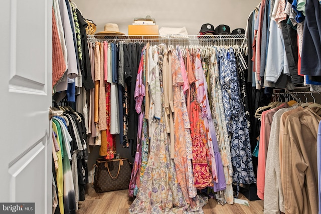 spacious closet featuring light wood-type flooring