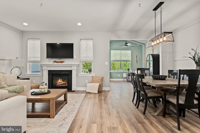 dining space featuring ceiling fan and wood-type flooring