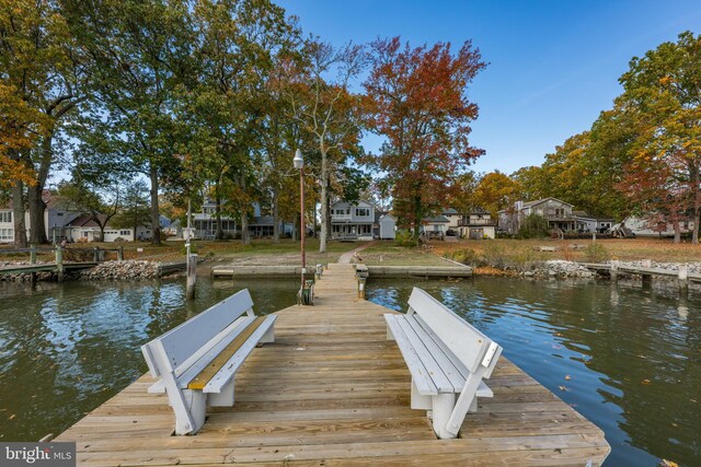 dock area with a water view