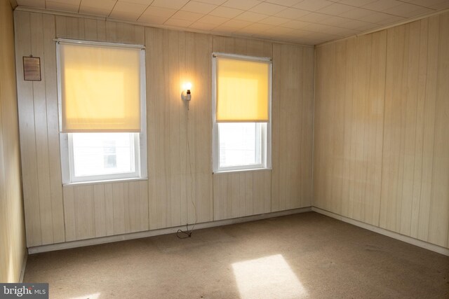 spare room featuring a wealth of natural light and wooden walls