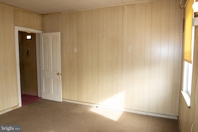 unfurnished room with carpet floors and wooden walls