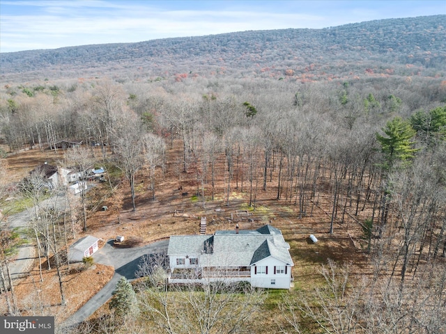 drone / aerial view featuring a mountain view