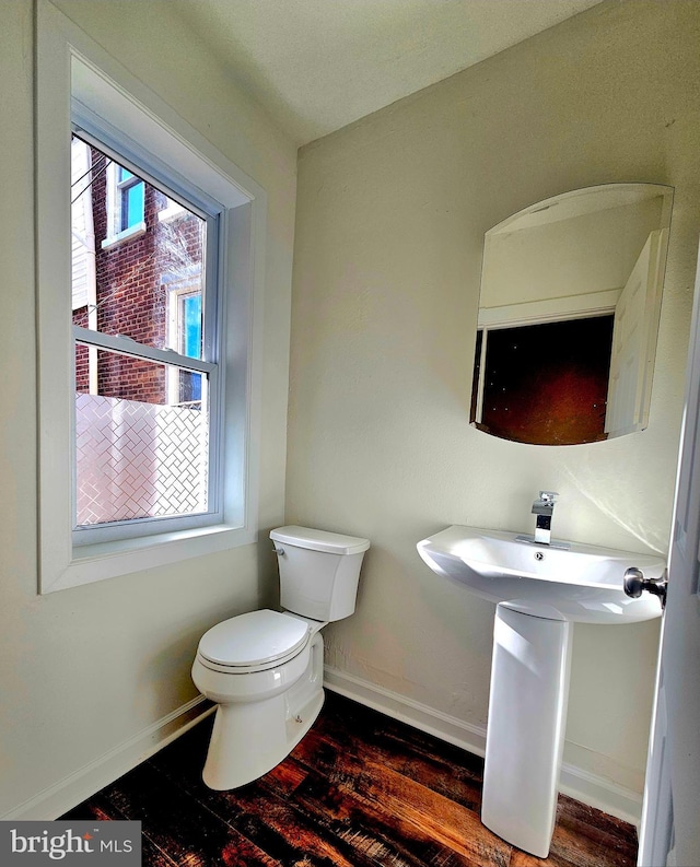 bathroom featuring toilet and hardwood / wood-style flooring