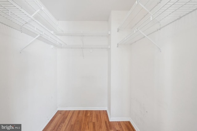 spacious closet with hardwood / wood-style floors