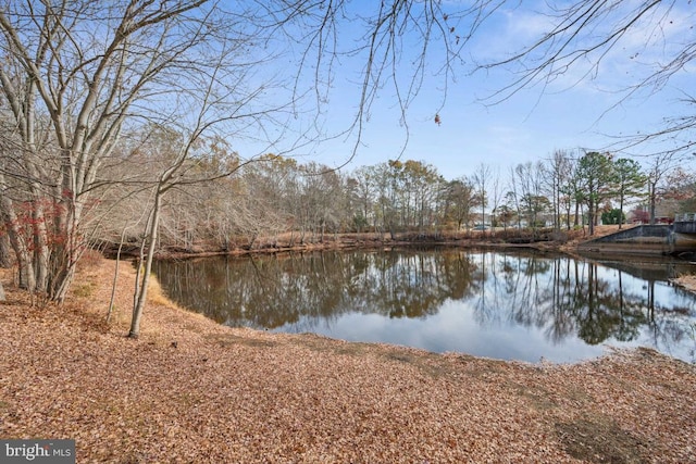 property view of water