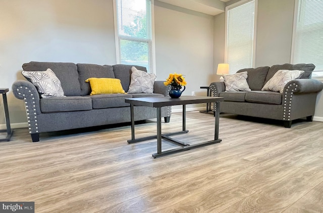 living room featuring light wood-type flooring