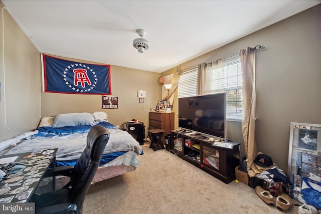 bedroom with carpet floors