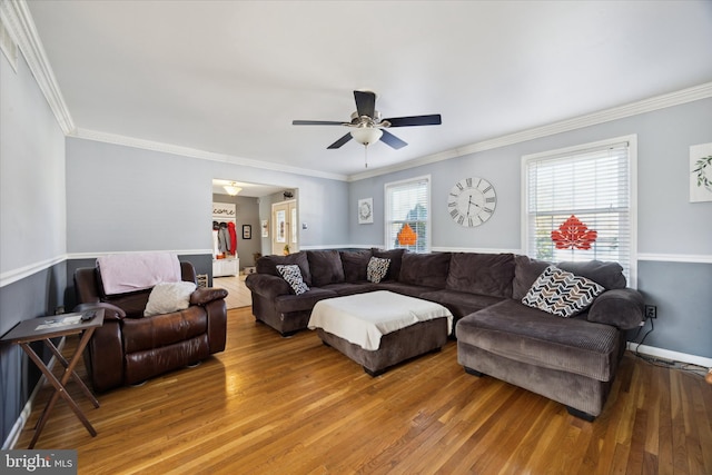 living room featuring ceiling fan, hardwood / wood-style flooring, and ornamental molding