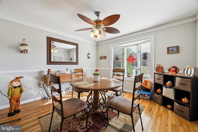 dining area featuring ceiling fan, light hardwood / wood-style flooring, and crown molding