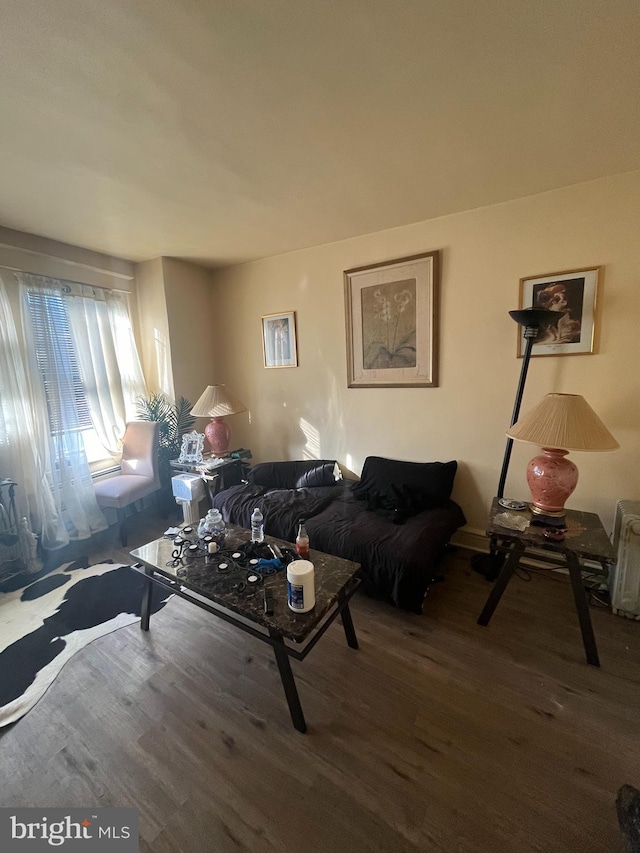 living room with wood-type flooring