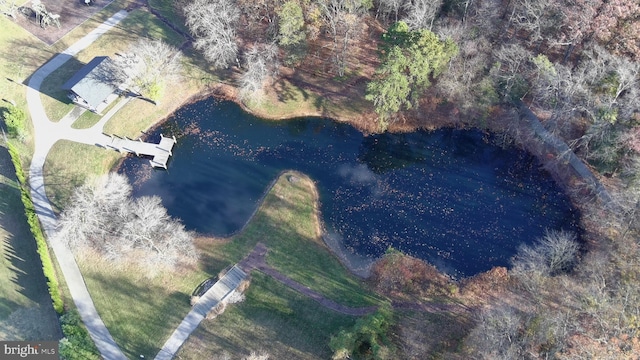 bird's eye view with a water view