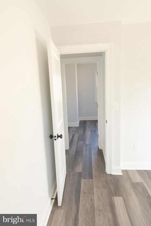 hallway featuring dark wood-type flooring