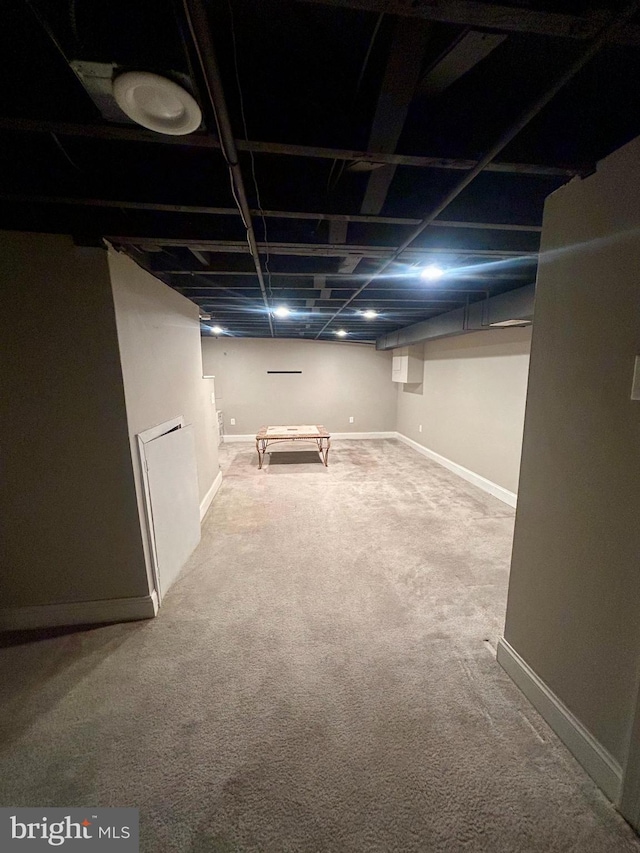 basement featuring carpet flooring