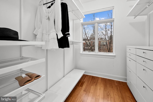 spacious closet with light hardwood / wood-style floors