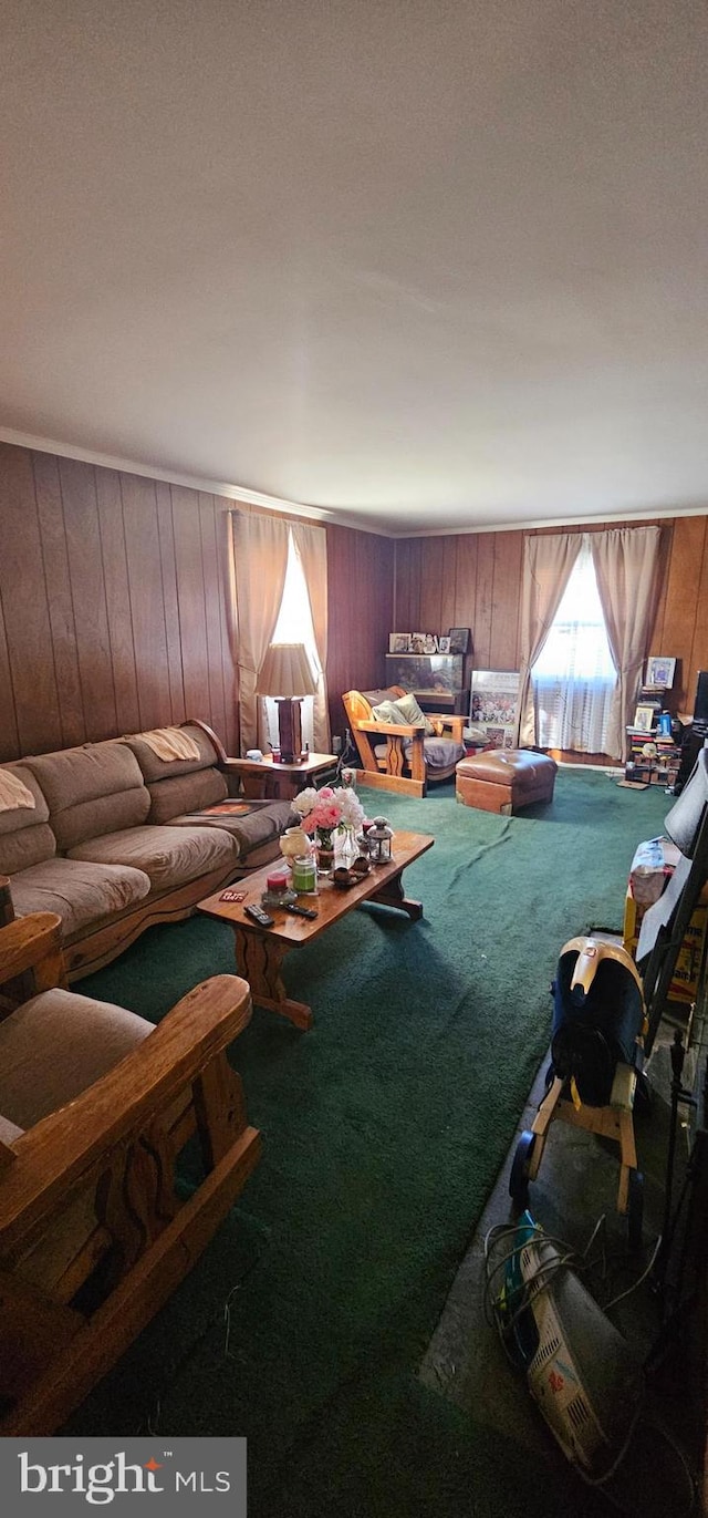 unfurnished living room with carpet flooring and wooden walls