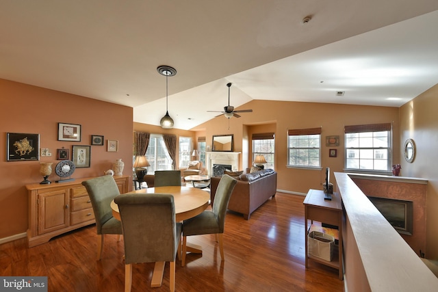 dining space with a wealth of natural light, lofted ceiling, dark hardwood / wood-style floors, and ceiling fan