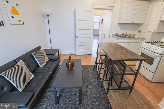 living room with dark wood-type flooring and sink