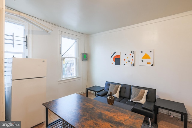 office space featuring hardwood / wood-style floors and a wealth of natural light