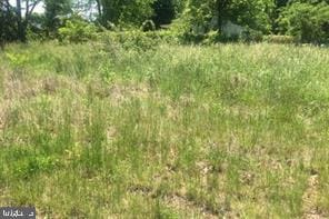 12135 Vint Hill Rd, Bristow, VA 20136
