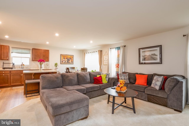 living room featuring light hardwood / wood-style floors and sink