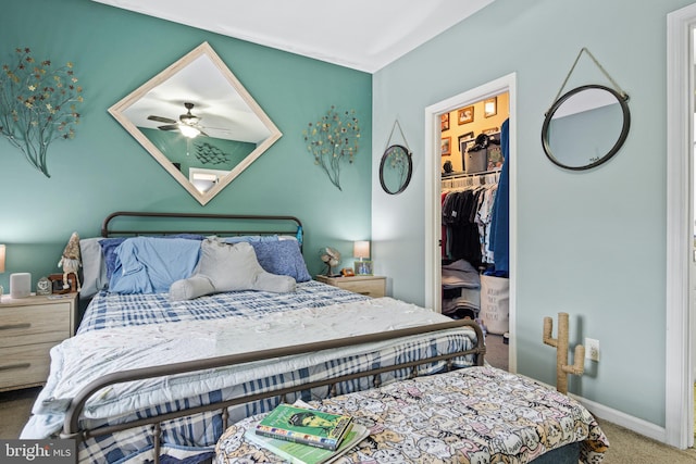 bedroom featuring carpet flooring, ceiling fan, a walk in closet, and a closet