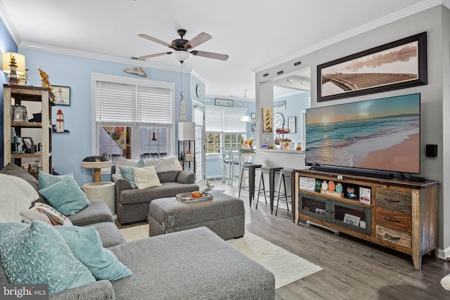 living room featuring ceiling fan, wood-type flooring, and ornamental molding