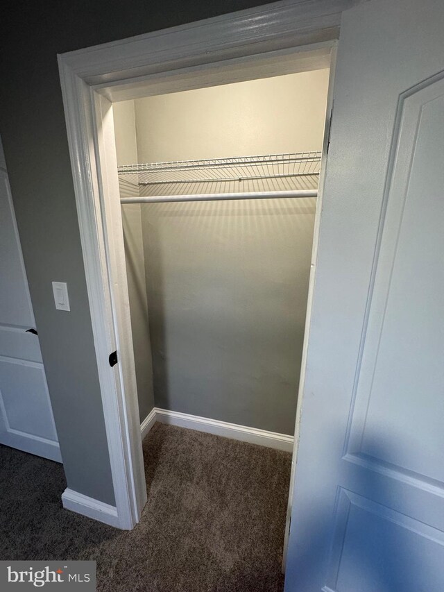 view of closet