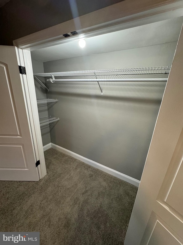 walk in closet with carpet floors