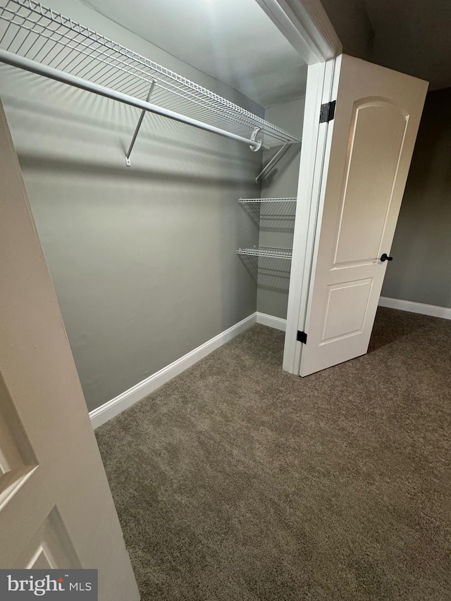 spacious closet with dark carpet