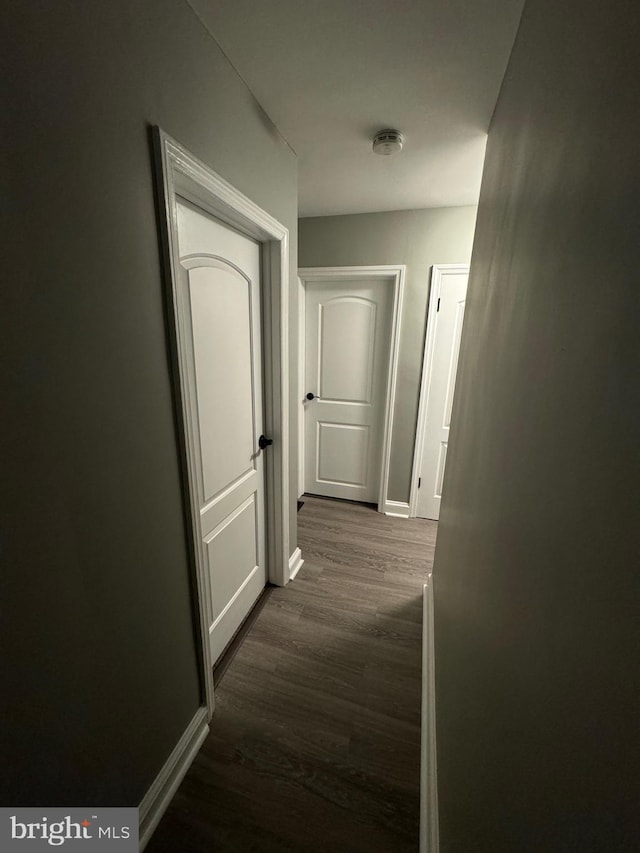 corridor featuring dark hardwood / wood-style flooring