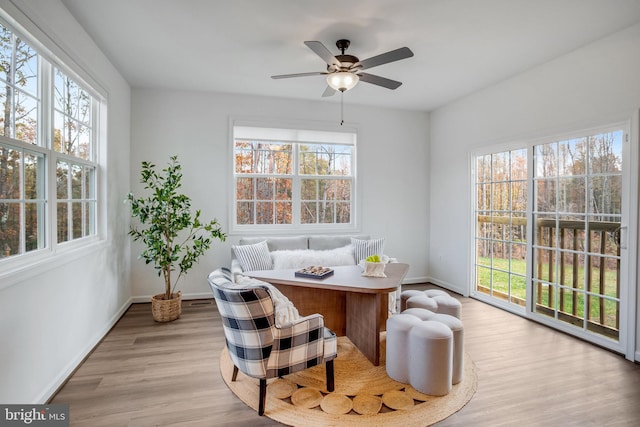 living area featuring light wood-type flooring and ceiling fan