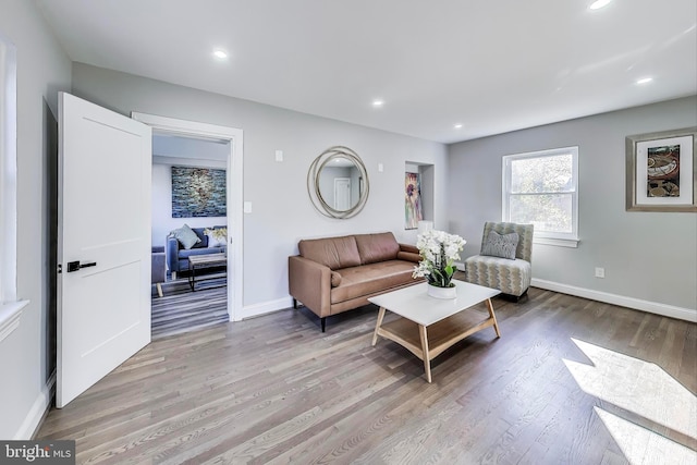 living room featuring light hardwood / wood-style flooring