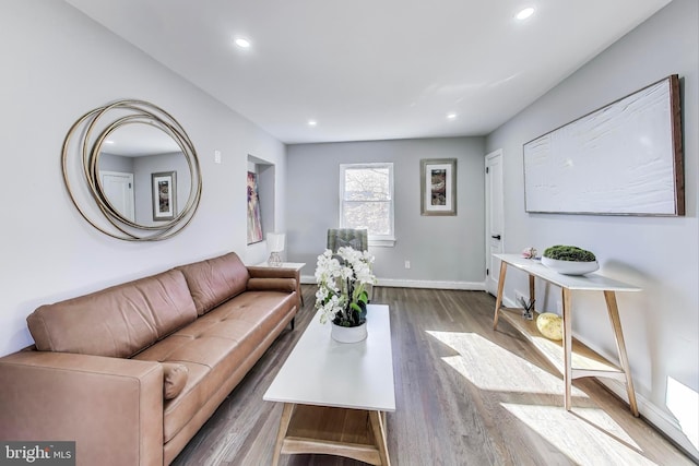 living room featuring hardwood / wood-style flooring