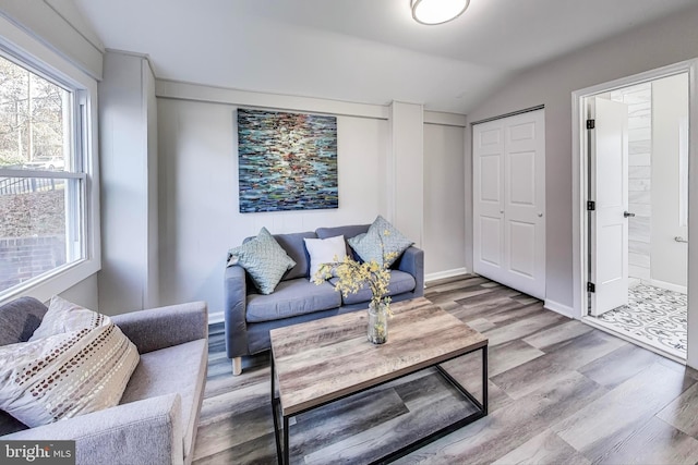 living room featuring light hardwood / wood-style flooring and lofted ceiling