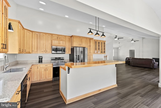 kitchen with sink, a center island, stainless steel appliances, high vaulted ceiling, and dark hardwood / wood-style floors