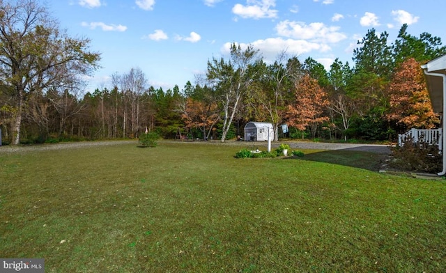 view of yard with a storage unit