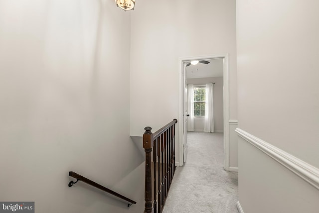 stairway with carpet floors