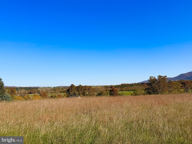 view of local wilderness