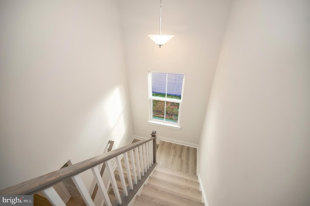 stairway with wood-type flooring