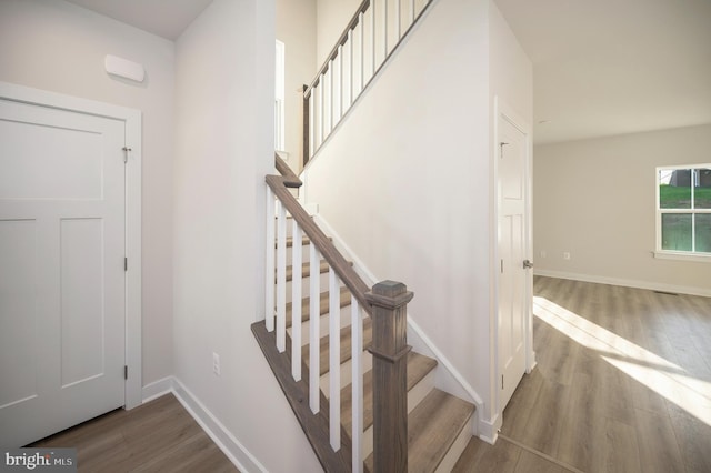 staircase featuring wood-type flooring