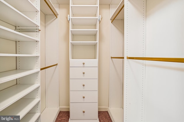 walk in closet featuring dark carpet