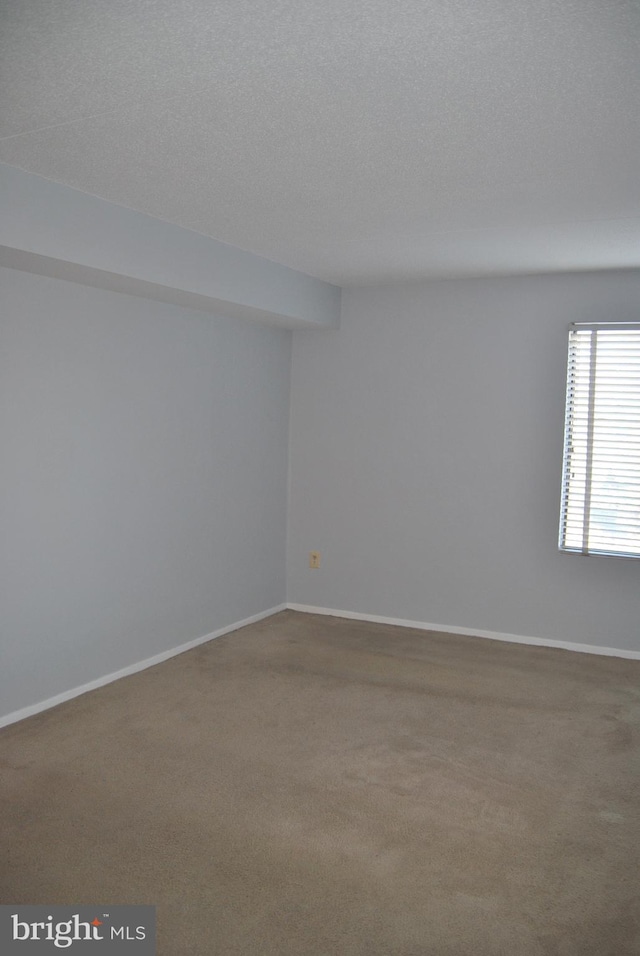 empty room featuring carpet floors and a textured ceiling