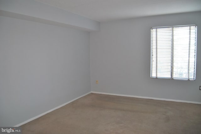 spare room with carpet floors