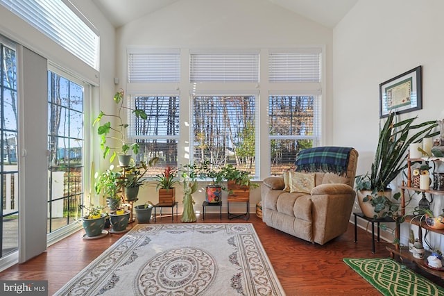 sitting room with high vaulted ceiling and dark wood-type flooring